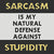 Cross Stitch - Sarcasm And Stupidity